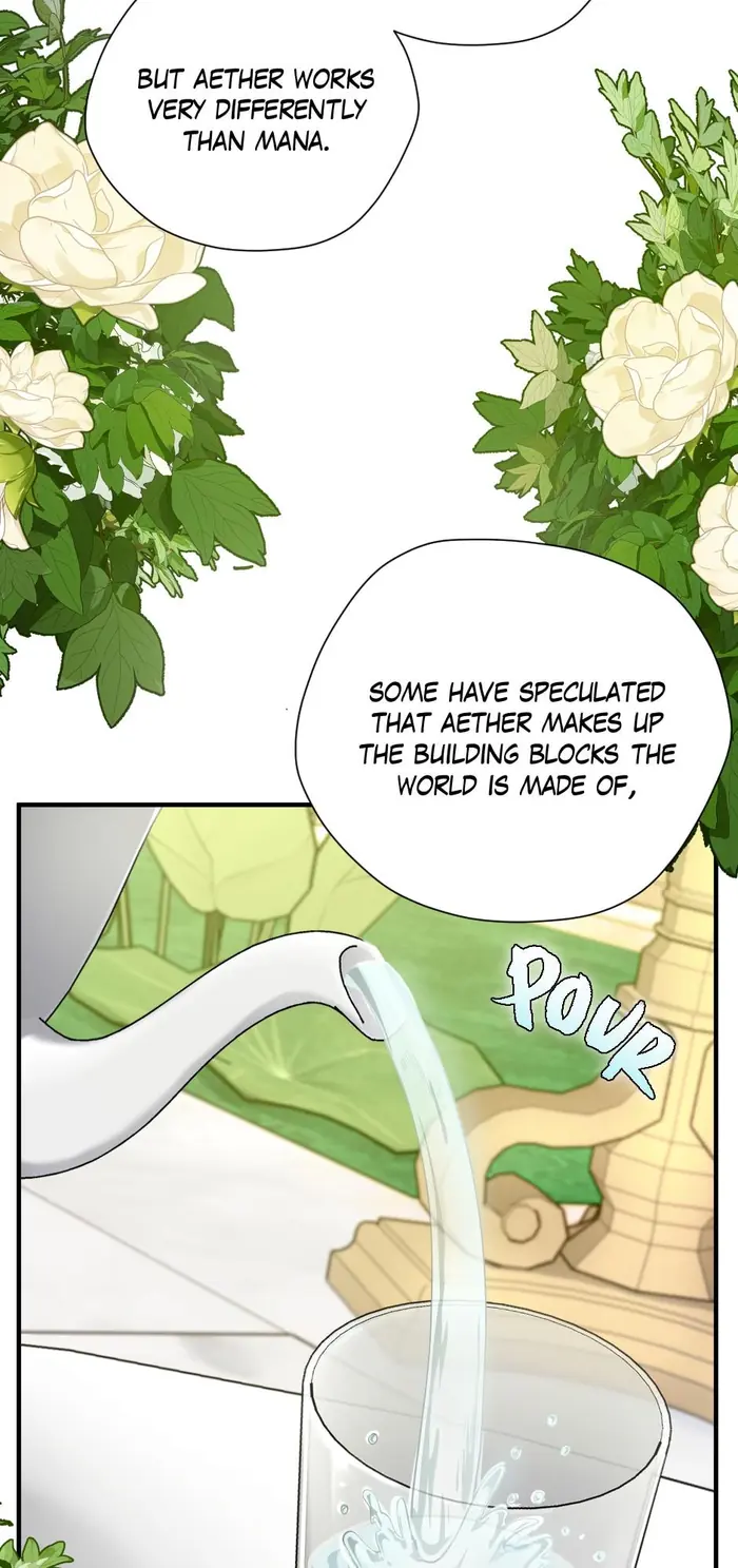 The Beginning After the End Chapter 158 image 64_optimized